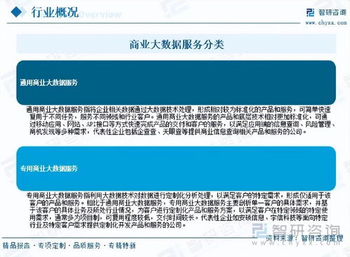 2026年中國商業(yè)大數(shù)據(jù)服務行業(yè)市場運行態(tài)勢分析與未來增長潛力展望