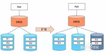 深入理解MySQL表設計規(guī)范與數(shù)據(jù)處理服務的關鍵關聯(lián)