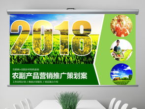 2018互聯(lián)網+農副產品市場推廣企業(yè)營銷策劃案模板