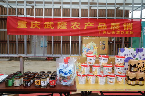 歷下區(qū)千佛山街道東西部協(xié)作農特產品惠民專場助力農副產品銷售